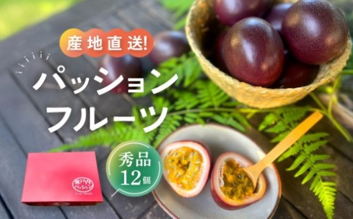 【先行予約】パッションフルーツ秀品12個入り