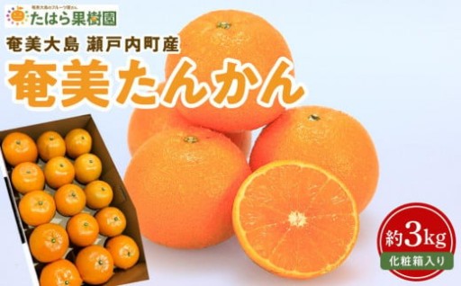 【26年2月以降発送】奄美たんかん約3kg化粧箱