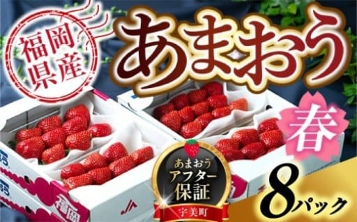 大粒あまおうをお楽しみください！