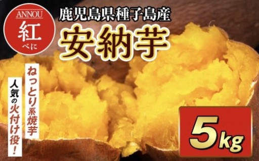 種子島産安納紅いも5kg 2S～Sサイズ