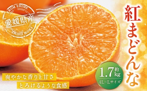 【受付期間延長！】「紅まどんな」約1.7kg 4L～Lサイズ 6～10個（青マル以上）
