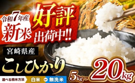 令和7年産 宮崎県産こしひかり選べる内容量 5kg・10kg・15kg・20kg 選べる 白米 or 無洗米