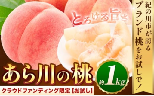 10年後には桃が無くなる..！？　今ならまだ間に合います！消えゆく桃畑に、皆さまからのご支援を