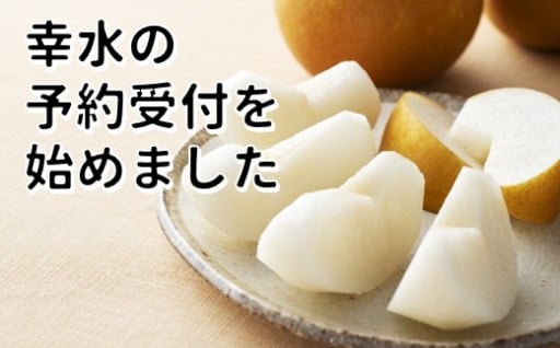 【先行予約開始】幸水の受付を始めました