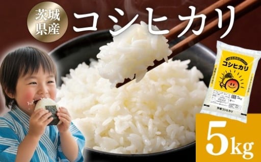 【発送月が選べる】米 5kg 新米 令和7年産 茨城県産 コシヒカリ