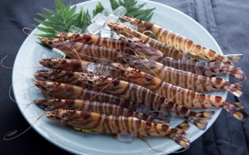 今が旬！『活き車海老』申込受付中！