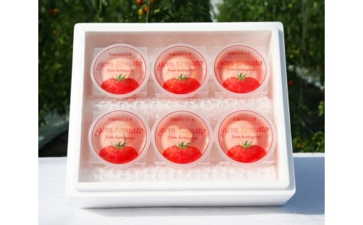 熊谷市の最新返礼品！