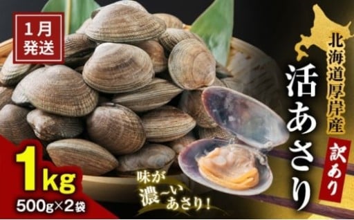 1月発送 北海道 厚岸産 訳あり 活あさり 