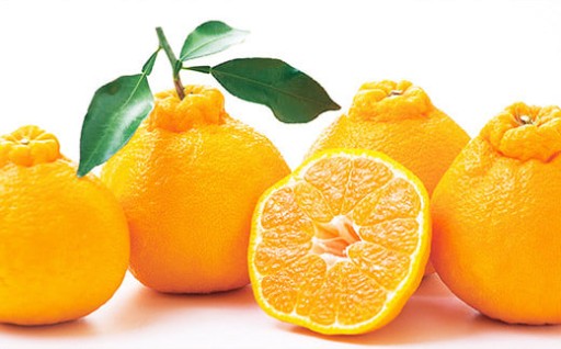 熊本産 おにつか農園 こだわり 不知火 贈答用 約5kg