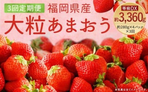 【3回定期便】【先行予約】大粒 あまおう 等級DX 総重量 約3,360g 