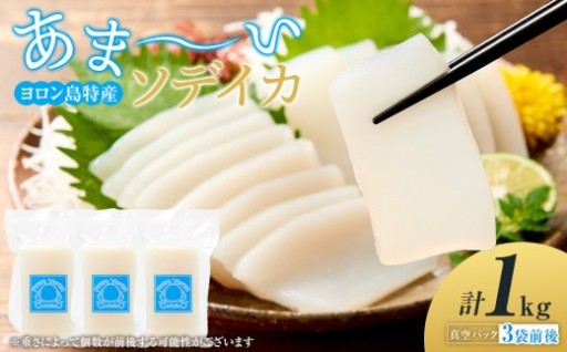 ヨロン島特産☆あま～いソデイカ 1kgセット