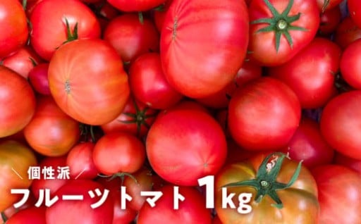 もうすぐ発送開始！ トマトに味がのってきました