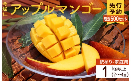 【訳あり先行予約】今帰仁アップルマンゴー1kg