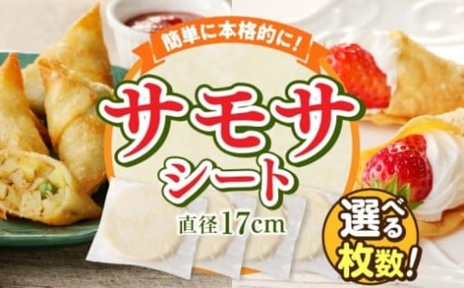 ✨選べる内容量✨ サモサシート（生地のみ） 🌯🌮