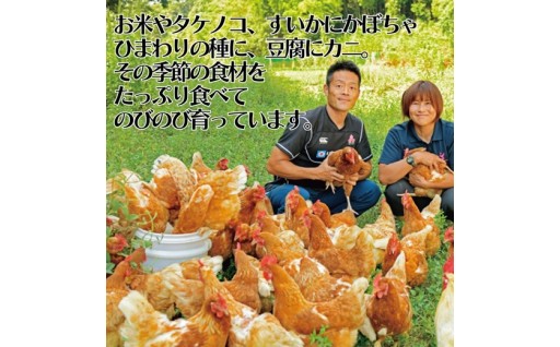 大地が育てた、いのちのたまご