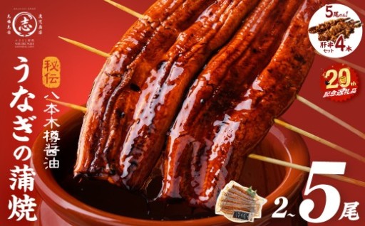 【内容量が選べる】国産 八本木樽鰻の蒲焼 ＜2尾＞or＜5尾 うなぎ肝串4本セット＞(1尾あたり160g以上) 
