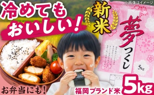 【冷めてもおいしい！】夢つくし🍙