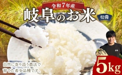 ＜先行予約＞令和7年産 岐阜のお米 ハツシモ 初霜 5kg