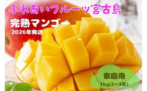 【家庭用】激うま！宮古島産アップルマンゴー1kg