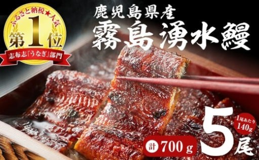 【数量限定】【お礼の品人気No1】霧島湧水鰻の蒲焼き 140g以上×5尾＜計700g以上＞