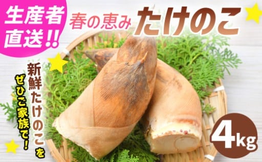 【生産者直送】春の恵み たけのこ 約4kg 以上 （2~5本）