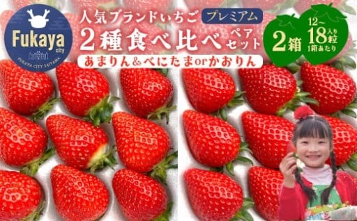 人気ブランドいちご　2種類食べ比べセット