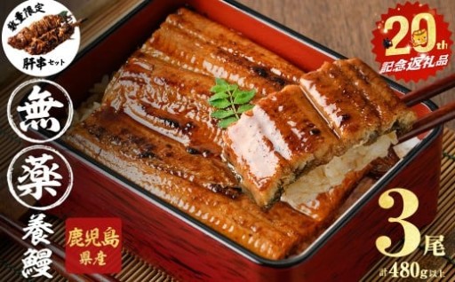 【無薬養鰻】 鹿児島産 山田のうなぎ ＜計480g以上＞（160g以上×3尾） 肝串セット