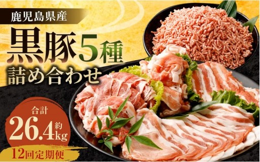 【12ヶ月定期便】鹿児島県産 黒豚 5種詰合せ(約2.2kg×12回)　