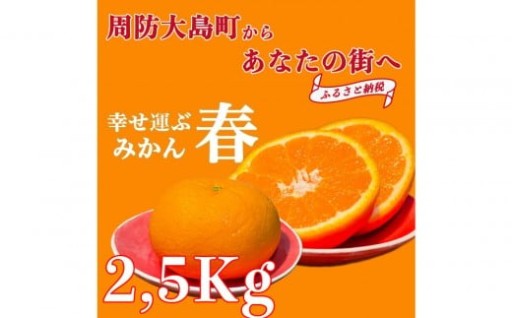 【2026年3月より順次発送】山口県周防大島町からあなたの街へ幸せ運ぶ春みかん《ゆめほっぺ》2.5kg
