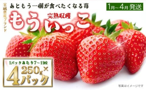 【完熟収穫】いちご もういっこ 250g×4パック