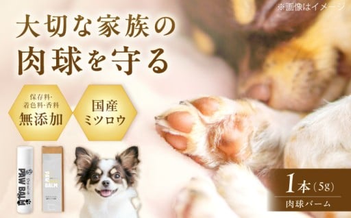 愛するペットのための肉球ケア🐶