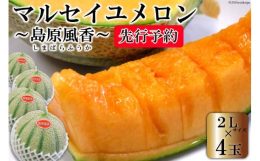 【期間限定発送】赤肉 マルセイユメロン