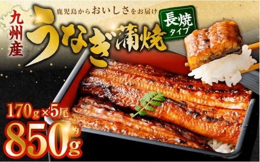 九州産 無頭うなぎ蒲焼 約170g×5尾 計850g