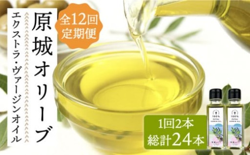 南島原の大地が育んだ、極上のエクストラヴァージンオイル