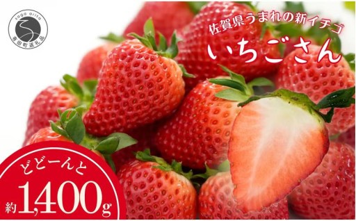 JAのいちごさん　240g✕6【JA伊万里園芸】