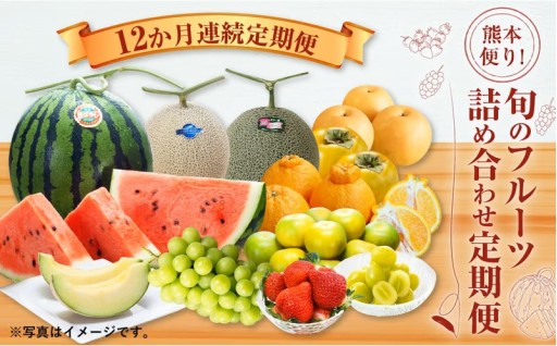 【12か月連続定期便】熊本便り！旬のフルーツ 詰め合わせ 定期便 