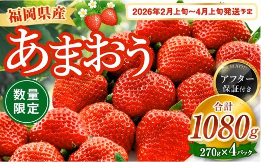 数量限定 福岡県産 あまおう 270g×4パック