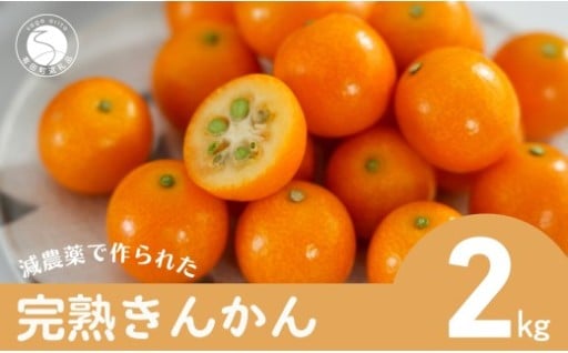 有田産 完熟金柑2kg【JA伊万里きんかん部会】