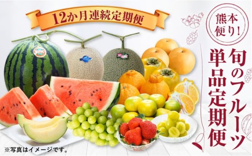 【12か月連続定期便】熊本便り！ 旬のフルーツ 単品定期便