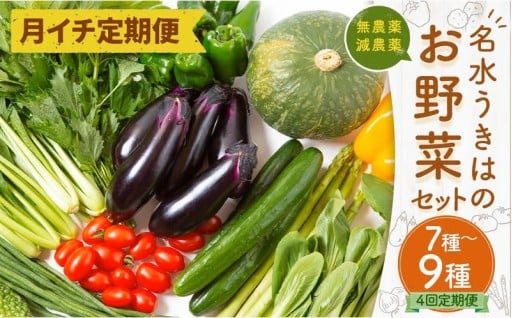 【月イチ定期便】UIC 名水うきはの無農薬減農薬お野菜セット