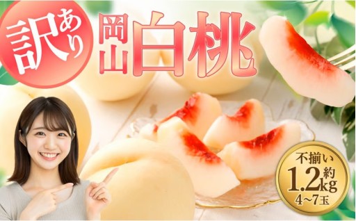 【訳あり】岡山白桃（家庭用）1.2kg以上