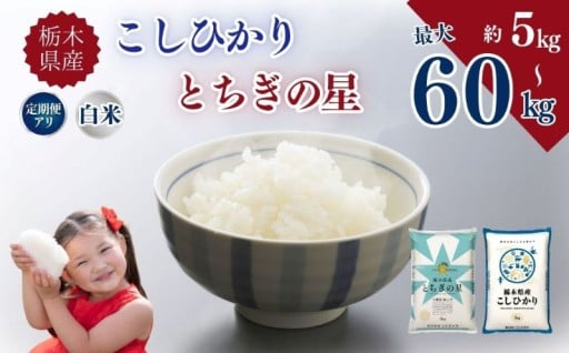 【選べるグラム数、定期便】こしひかり とちぎの星