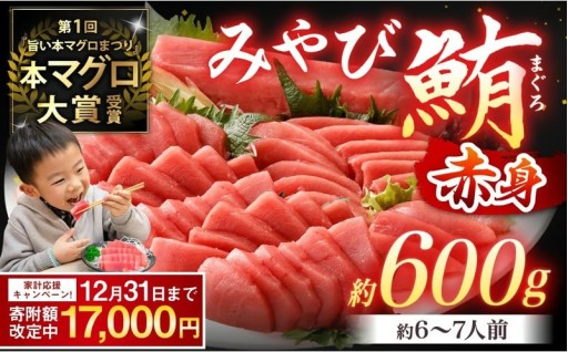 本マグロ 大賞受賞 みやび鮪 赤身 計約600g (約6～7人前)【期間限定！～12月31日まで寄附額改定中】