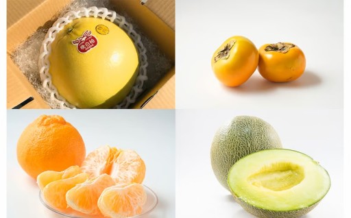 【年12回定期便】熊本県産フルーツ堪能定期便 ｜ 果物 くだもの フルーツ 定期便