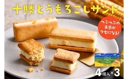 【北海道芽室町】つぶつぶの食感がクセになる！十勝とうもろこしサンドをご紹介🌽