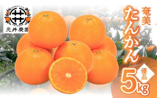 🎁贈答用にもおすすめ！奄美たんかん『優品』 5kg🍊✨