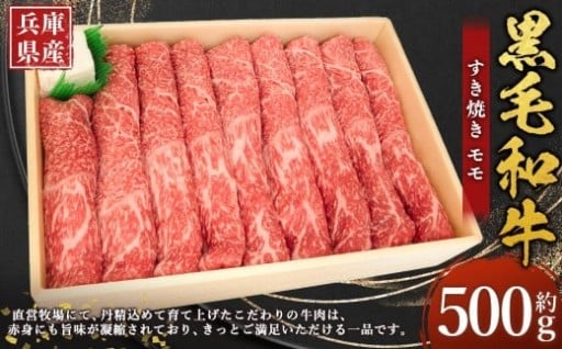 牛肉 兵庫県産 黒毛和牛 すき焼き モモ 約500g×1パック