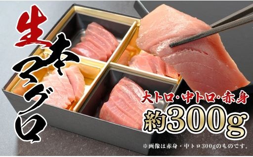 📣＼期間・数量限定／ “生”本マグロ3種食べ比べ！【12/17まで】