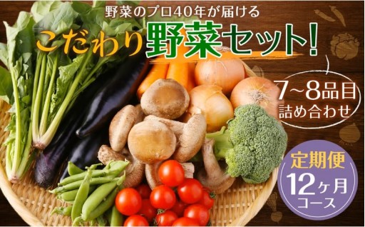 【定期便 毎月コース】 野菜のプロ40年が届けるこだわり野菜セット！ 7～8品目