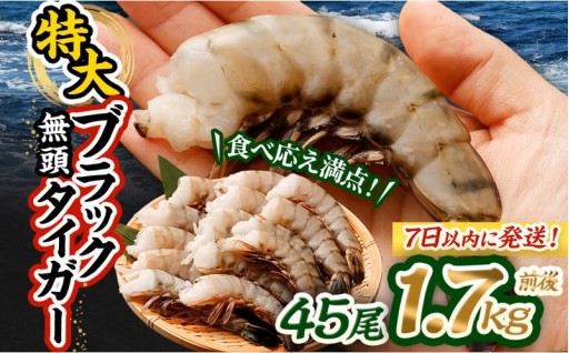 特大 ブラックタイガー 無頭えび 1.7kg前後（45尾 ）